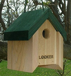 Looker Products, Inc Bird House