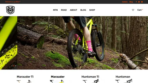 Preview of the 44 Bikes website