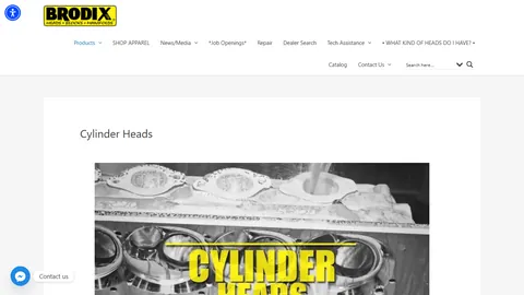 Preview of the BRODIX website