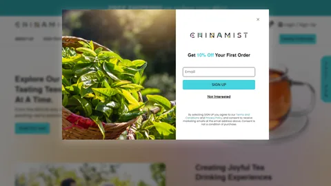 Preview of the China Mist website