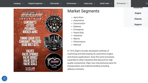 Preview of the Elgin website