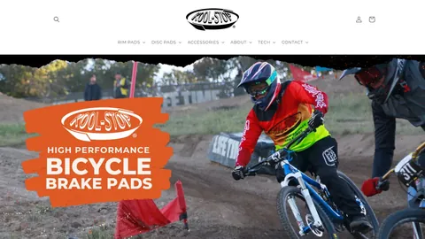 Preview of the Kool Stop website
