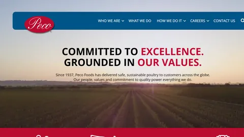Preview of the Peco Foods website